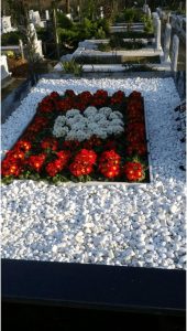 71MYK5v4jTL._AC_SL1500_