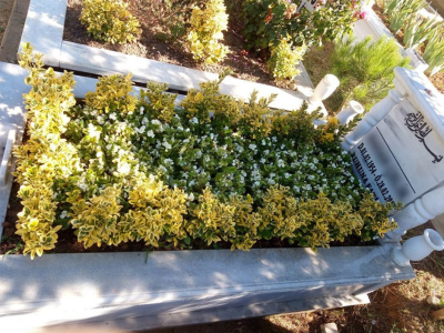 Adsız tasarım - 2025-09-22T210459.890