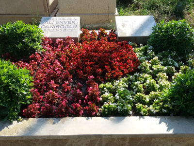 Adsız tasarım - 2025-09-22T210635.083