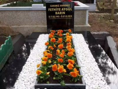 Adsız tasarım - 2025-09-22T210746.193